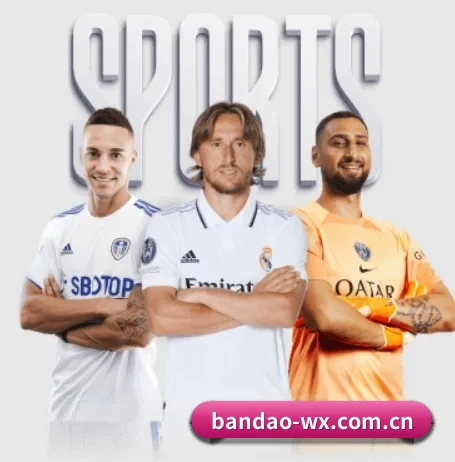 半岛体育 APP（BANDAO SPORTS）