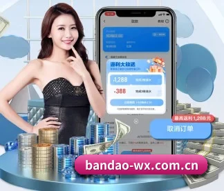 半岛体育 APP（BANDAO SPORTS）